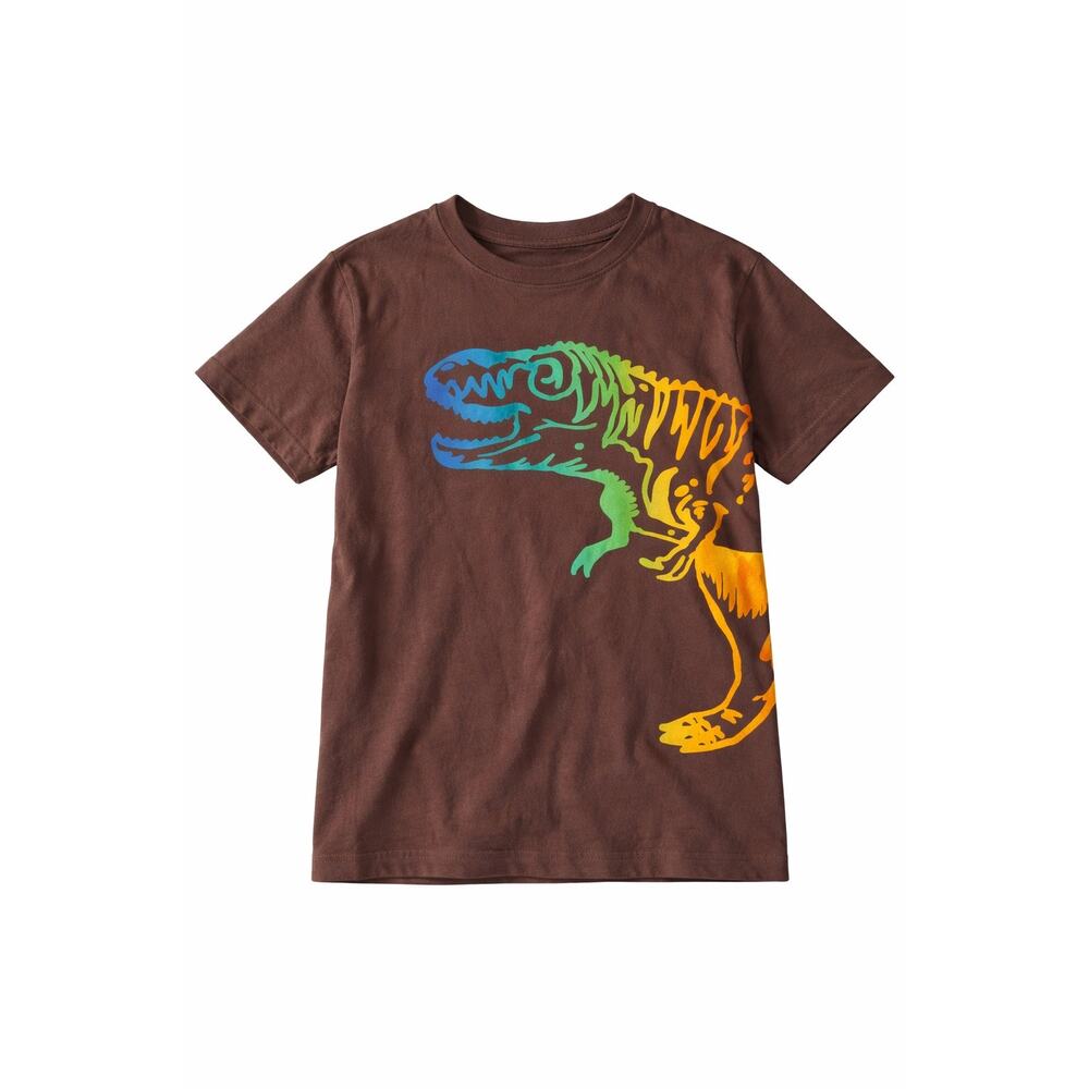 Hanna Andersson Rainbow Dinosaur T-Rex Graphic Tee Brown Boys Size 12